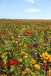 踏上英雄的宿命之旅《荒野战纪》现已正式发售